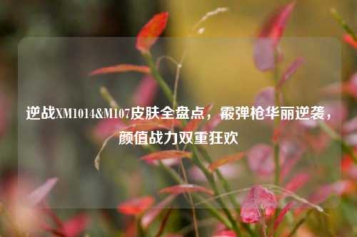 逆战XM1014&M107皮肤全盘点,霰弹枪华丽逆袭,颜值战力双重狂欢
