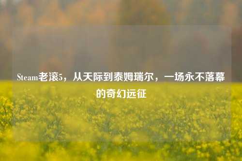 Steam老滚5,从天际到泰姆瑞尔,一场永不落幕的奇幻远征