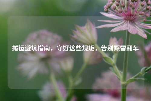 搬运避坑指南,守好这些规矩,告别踩雷翻车