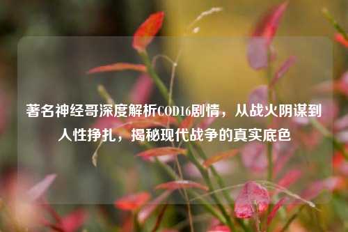 著名神经哥深度解析COD16剧情，从战火阴谋到人性挣扎，揭秘现代战争的真实底色