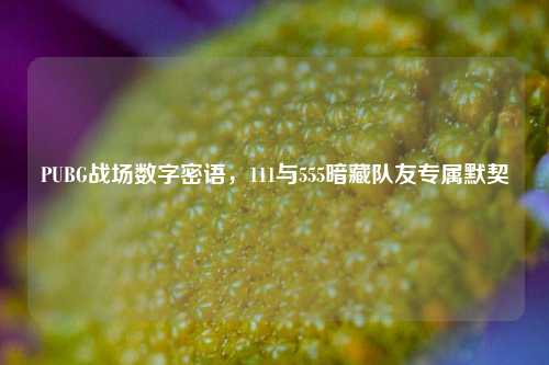 PUBG战场数字密语,111与555暗藏队友专属默契