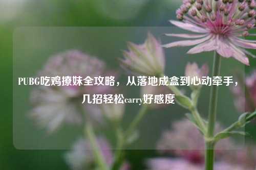 PUBG吃鸡撩妹全攻略,从落地成盒到心动牵手,几招轻松carry好感度