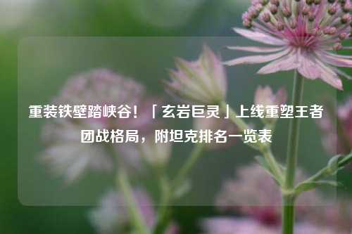 重装铁壁踏峡谷!「玄岩巨灵」上线重塑王者团战格局,附坦克排名一览表