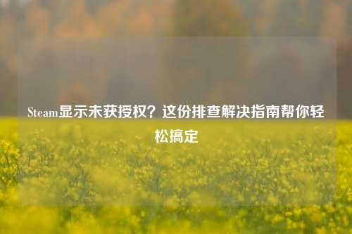 Steam显示未获授权？这份排查解决指南帮你轻松搞定
