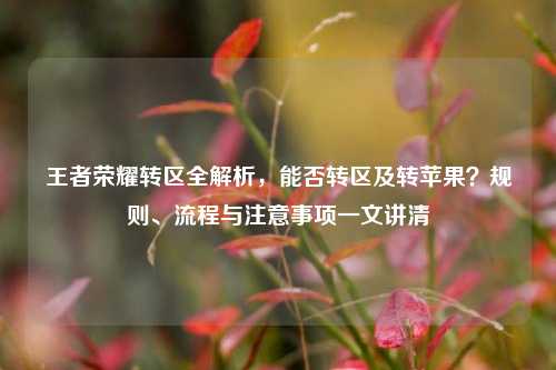 王者荣耀转区全解析，能否转区及转苹果？规则、流程与注意事项一文讲清