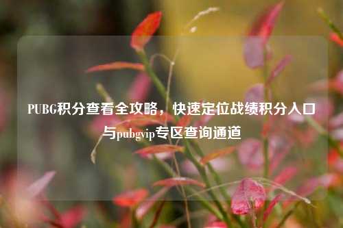 PUBG积分查看全攻略,快速定位战绩积分入口与pubgvip专区查询通道