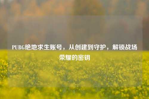PUBG绝地求生账号，从创建到守护，解锁战场荣耀的密钥