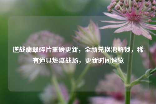 逆战翡翠碎片重磅更新,全新兑换池解锁,稀有道具燃爆战场,更新时间速览