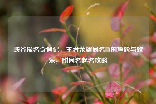 峡谷撞名奇遇记,王者荣耀同名ID的尴尬与欢乐,附同名起名攻略