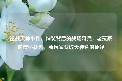 逆战天神小件,神装背后的战场奇兵,老玩家的情怀载体,新玩家获取天神套的捷径