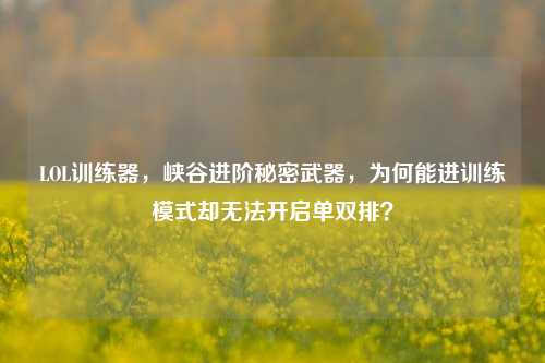 LOL训练器,峡谷进阶秘密武器,为何能进训练模式却无法开启单双排?