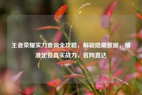 王者荣耀实力查询全攻略,解锁隐藏数据,精准定位真实战力,官网直达