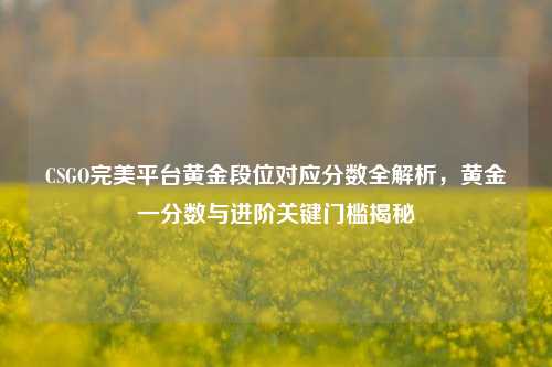CSGO完美平台黄金段位对应分数全解析,黄金一分数与进阶关键门槛揭秘