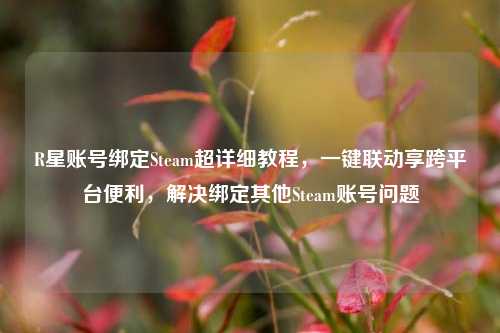 R星账号绑定Steam超详细教程,一键联动享跨平台便利,解决绑定其他Steam账号问题