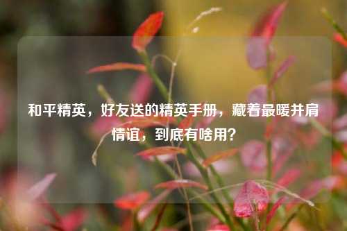 和平精英,好友送的精英手册,藏着最暖并肩情谊,到底有啥用?