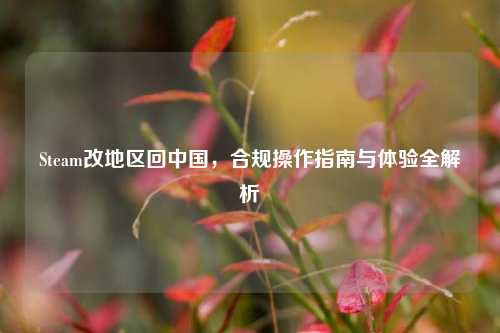 Steam改地区回中国,合规操作指南与体验全解析