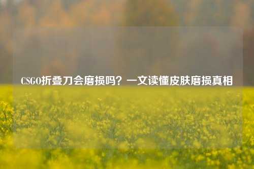 CSGO折叠刀会磨损吗？一文读懂皮肤磨损真相