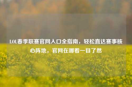 LOL春季联赛官网入口全指南,轻松直达赛事核心阵地,官网在哪看一目了然