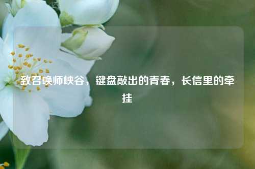 致召唤师峡谷,键盘敲出的青春,长信里的牵挂