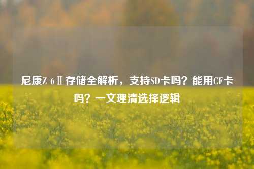 尼康Z 6Ⅱ存储全解析,支持SD卡吗?能用CF卡吗?一文理清选择逻辑