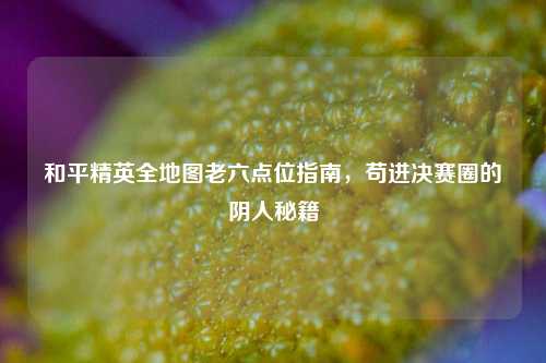 和平精英全地图老六点位指南,苟进决赛圈的阴人秘籍