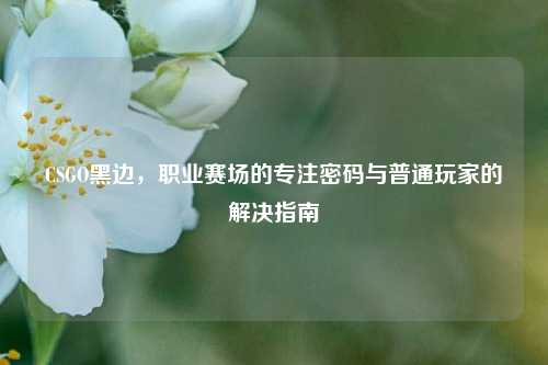 CSGO黑边,职业赛场的专注密码与普通玩家的解决指南