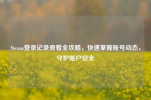 Steam登录记录查看全攻略,快速掌握账号动态,守护账户安全
