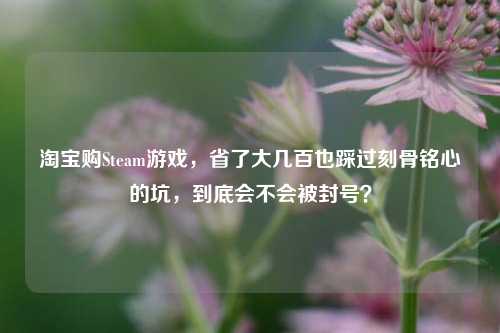 淘宝购Steam游戏,省了大几百也踩过刻骨铭心的坑,到底会不会被封号?