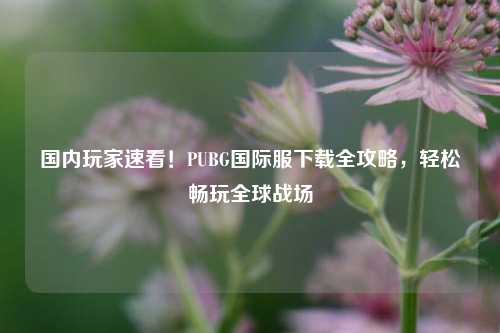 国内玩家速看!PUBG国际服下载全攻略,轻松畅玩全球战场