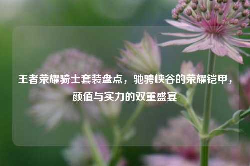 王者荣耀骑士套装盘点,驰骋峡谷的荣耀铠甲,颜值与实力的双重盛宴