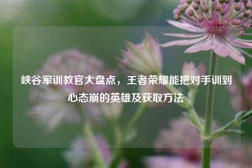 峡谷军训教官大盘点,王者荣耀能把对手训到心态崩的英雄及获取方法