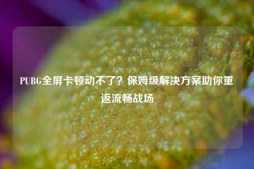 PUBG全屏卡顿动不了？保姆级解决方案助你重返流畅战场