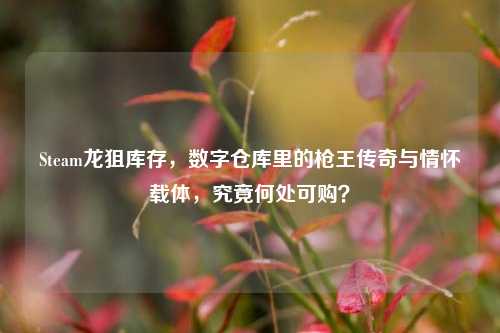 Steam龙狙库存,数字仓库里的枪王传奇与情怀载体,究竟何处可购?