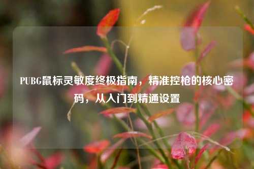 PUBG鼠标灵敏度终极指南,精准控枪的核心密码,从入门到精通设置
