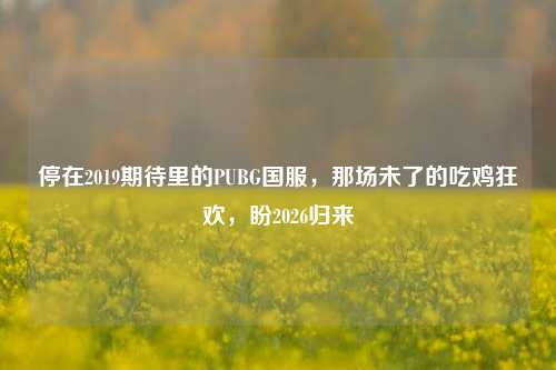 停在2019期待里的PUBG国服，那场未了的吃鸡狂欢，盼2026归来