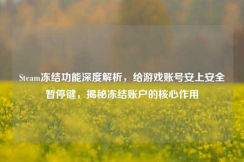 Steam冻结功能深度解析，给游戏账号安上安全暂停键，揭秘冻结账户的核心作用