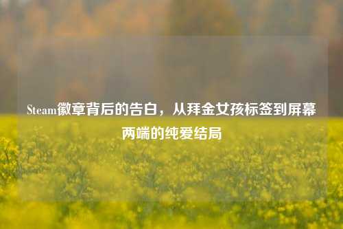 Steam徽章背后的告白,从拜金女孩标签到屏幕两端的纯爱结局