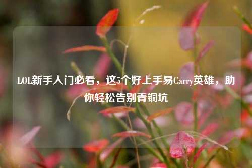 LOL新手入门必看，这5个好上手易Carry英雄，助你轻松告别青铜坑