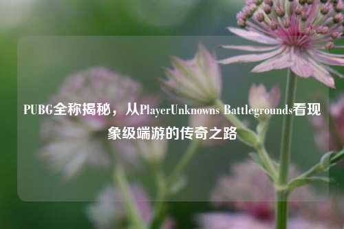 PUBG全称揭秘,从PlayerUnknowns Battlegrounds看现象级端游的传奇之路