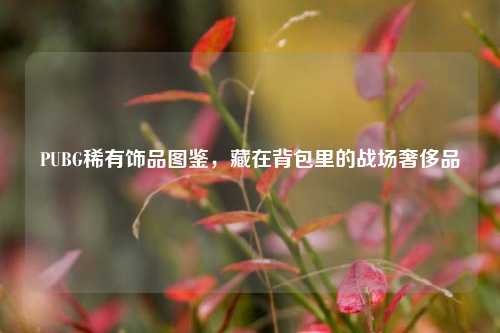 PUBG稀有饰品图鉴,藏在背包里的战场奢侈品