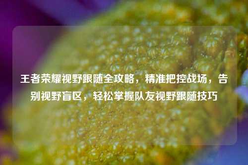 王者荣耀视野跟随全攻略,精准把控战场,告别视野盲区,轻松掌握队友视野跟随技巧