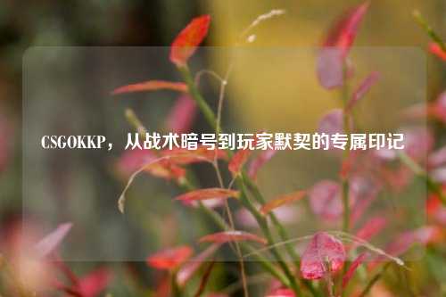 CSGOKKP,从战术暗号到玩家默契的专属印记