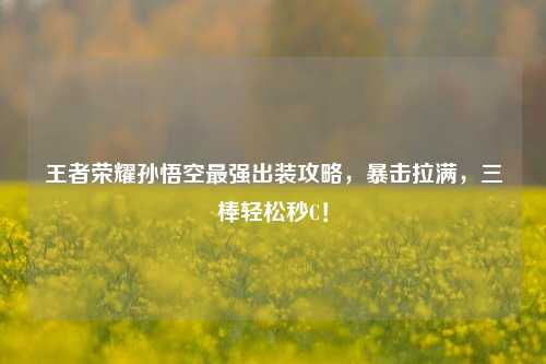 王者荣耀孙悟空最强出装攻略，暴击拉满，三棒轻松秒C！