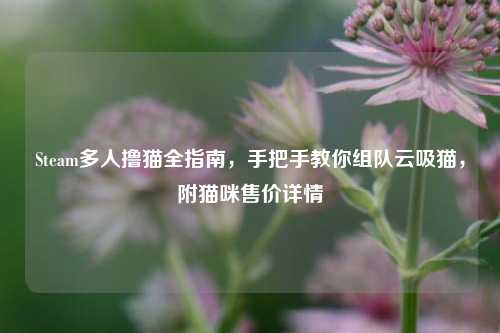 Steam多人撸猫全指南,手把手教你组队云吸猫,附猫咪售价详情