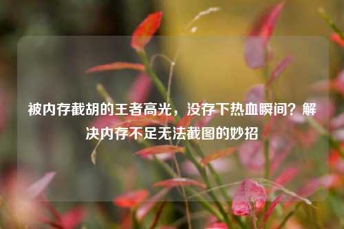 被内存截胡的王者高光,没存下热血瞬间?解决内存不足无法截图的妙招