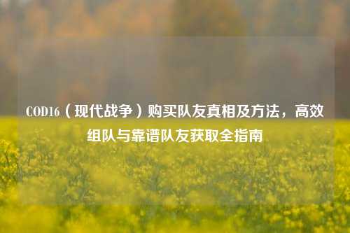 COD16(现代战争)购买队友真相及方法,高效组队与靠谱队友获取全指南