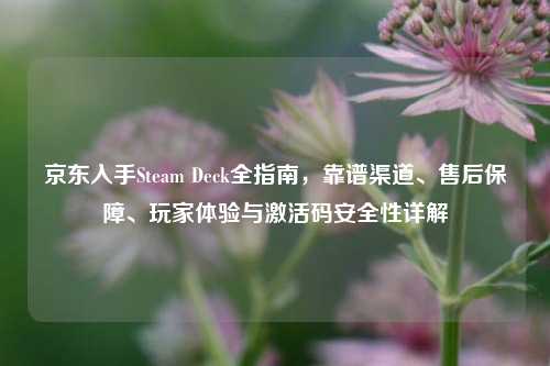 京东入手Steam Deck全指南,靠谱渠道、售后保障、玩家体验与激活码安全性详解