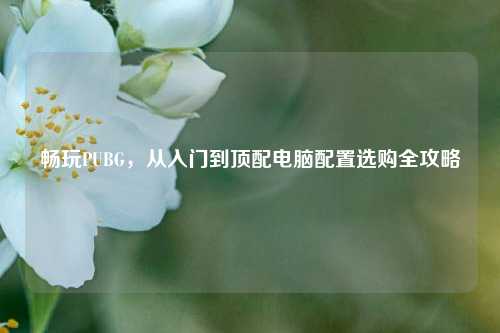 畅玩PUBG,从入门到顶配电脑配置选购全攻略