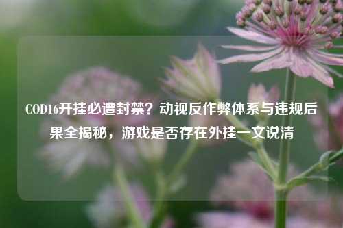 COD16开挂必遭封禁？动视反作弊体系与违规后果全揭秘，游戏是否存在外挂一文说清
