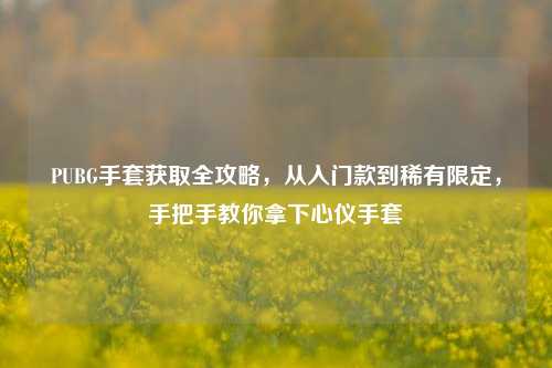 PUBG手套获取全攻略，从入门款到稀有限定，手把手教你拿下心仪手套